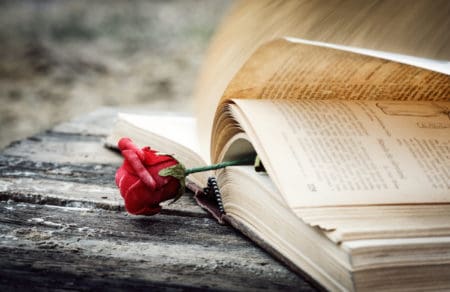 open book on wood desk with rose