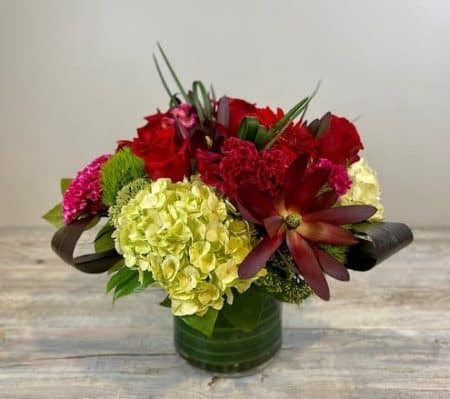 This lush autumnal arrangement is arranged in a stunning, cylinder glass with gorgeous green hydrangea, red roses, gerberas, celosia and green trick.