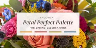 Elegant-PetalPerfectPalette-blog