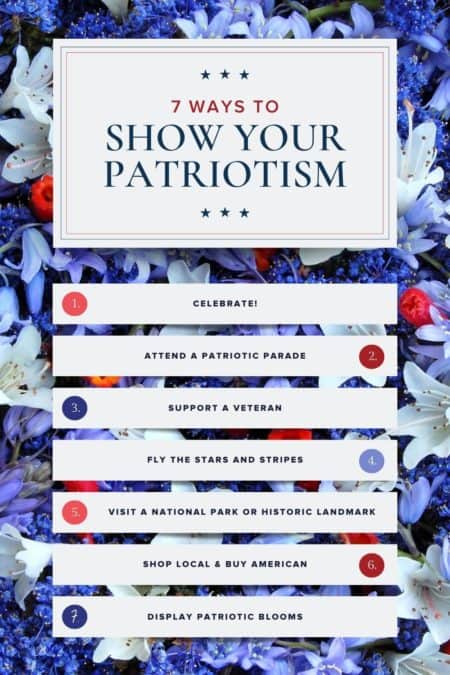 Show your patriotism this July 4th